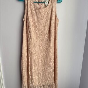 Elegant Lace Midi Dress - Blush